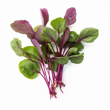orach