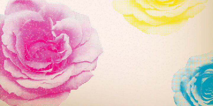 Rose flowers halftone screen CMYK colors transparent with riso print effect vector illustration on old paper background have blank space. Valentine's day greeting card template.