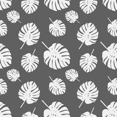 Gray botanical seamless pattern with delicate monstera leaves. Pattern for textiles, wrapping paper, wallpaper, covers, backgrounds.