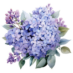 Watercolor  lilac flower Illustration AI Generative