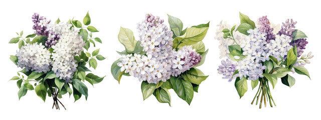 Watercolor set of lilac flowers. Generative Ai