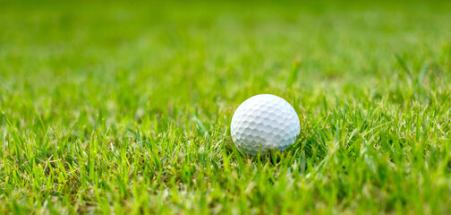 Close-up of Golf ball on the grass green
