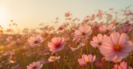 pink flower beautiful nature outdoor violet sunset blooming meadow background field. Generative AI.