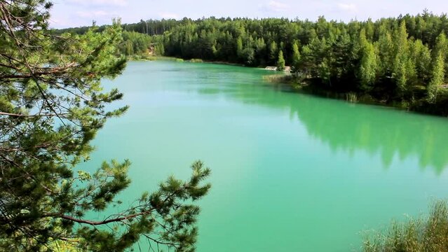 forest lake with green water