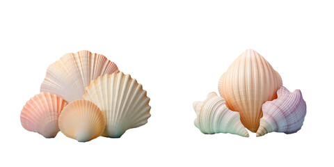 Three shells in the ocean on a transparent background