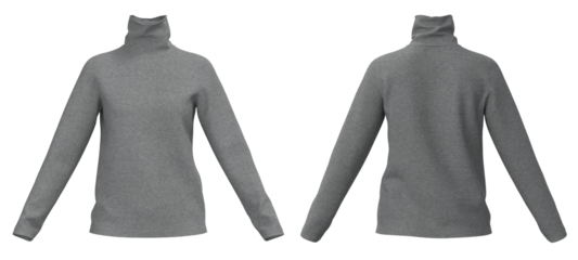 Long neck Sweater, female Sweater isolated