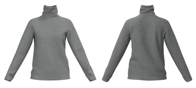 Long neck Sweater, female Sweater isolated