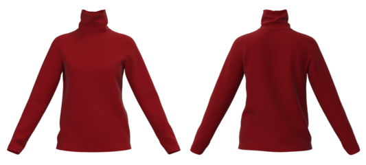 Long neck Sweater, female Sweater isolated