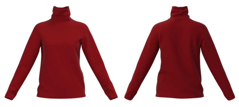 Long neck Sweater, female Sweater isolated