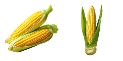 transparent background fresh corn