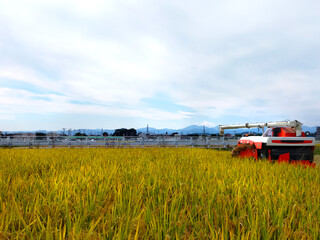 Fototapeta na wymiar コンバインで稲刈りをする田園風景