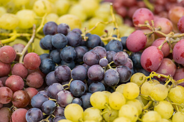 Mix of red, black and white table grapes fruit in a street food market, close up