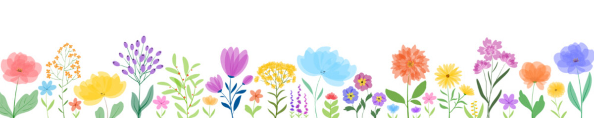 Obraz na płótnie Canvas Horizontal banner with flowers. Spring flowering plants on a white background. Floral backdrop with summer wildflowers. Glade of beautiful herbs. Vector illustration.