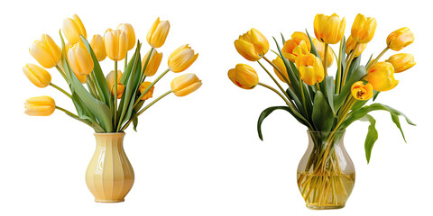 Isolated yellow tulips in a glass vase on a transparent background