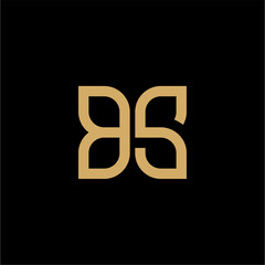BS Letter Initial Logo Design Template Vector Illustration