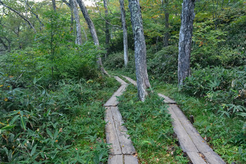 Mount. Shibutsu, Oze, Gunma, Japan