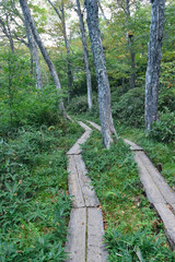 Obraz premium Mount. Shibutsu, Oze, Gunma, Japan