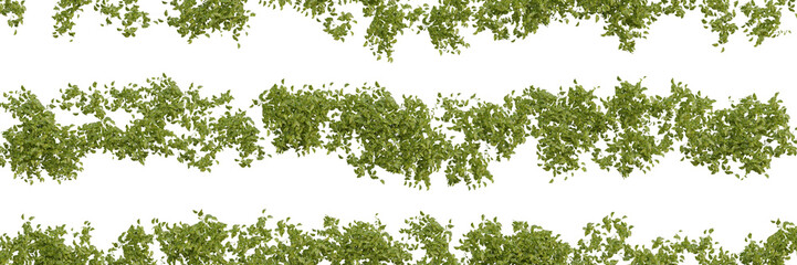 Green Plant Stripes - Transparent PNG