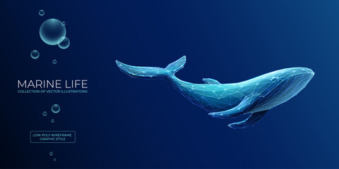 Abstract blue whale underwater in polygons on a technology blue background. Low poly wireframe marine life concept. Polygonal futuristic vector illustration with 3D effect. Modern geometric style. - obrazy, fototapety, plakaty