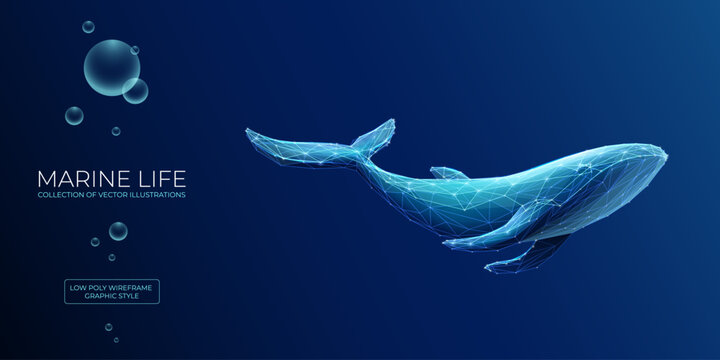 Abstract blue whale underwater in polygons on a technology blue background. Low poly wireframe marine life concept. Polygonal futuristic vector illustration with 3D effect. Modern geometric style.