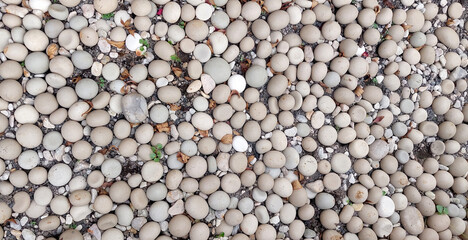 Round white pebbles, small ball pebbles seamless on the ground.
