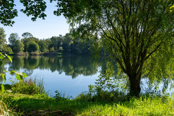 Fototapeta na wymiar Einsamer See mit Baum