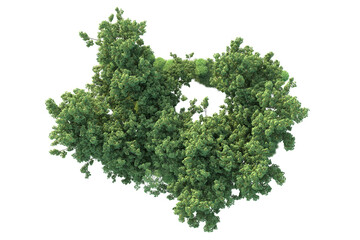 Obraz premium Realistic forest isolated on transparent background. 3d rendering - illustration