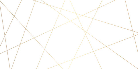 Luxury premium golden and black random chaotic wave lines abstract background. Vector, illustration	