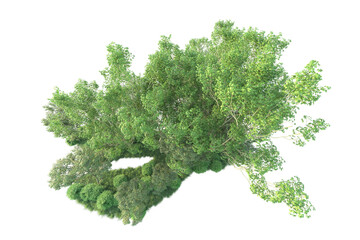Obraz premium Realistic forest isolated on transparent background. 3d rendering - illustration