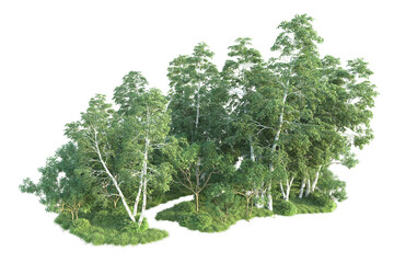 Realistic forest isolated on transparent background. 3d rendering - illustration