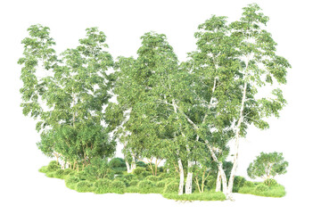 Obraz premium Realistic forest isolated on transparent background. 3d rendering - illustration