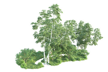 Realistic forest isolated on transparent background. 3d rendering - illustration