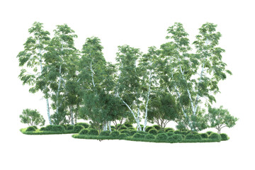 Realistic forest isolated on transparent background. 3d rendering - illustration