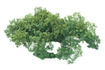 Obraz premium Realistic forest isolated on transparent background. 3d rendering - illustration