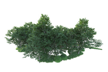 Obraz premium Realistic forest isolated on transparent background. 3d rendering - illustration