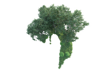 Naklejka premium Realistic forest isolated on transparent background. 3d rendering - illustration