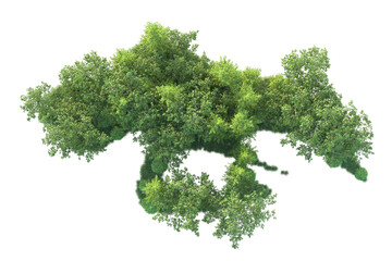 Realistic forest isolated on transparent background. 3d rendering - illustration