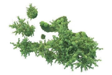 Fototapeta premium Realistic forest isolated on transparent background. 3d rendering - illustration