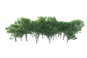 Realistic forest isolated on transparent background. 3d rendering - illustration