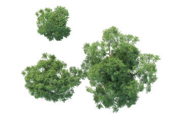 Obraz premium Realistic forest isolated on transparent background. 3d rendering - illustration