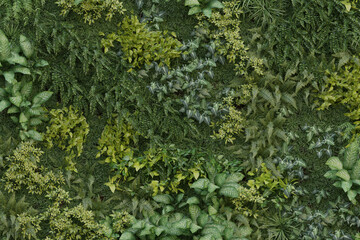 Green Wall & Plants Textures - Backgrounds