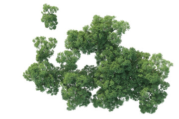 Realistic forest isolated on transparent background. 3d rendering - illustration