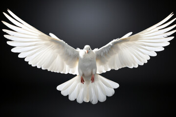 Front view of a white dove with open wings symbol of the Holy Spirit on black background Generative AI Illustration - obrazy, fototapety, plakaty
