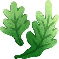 Daisy leaves chalk style 