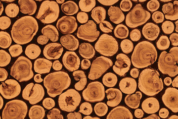 Decorative log wood background. Textured surface with rings, tree trunk slices