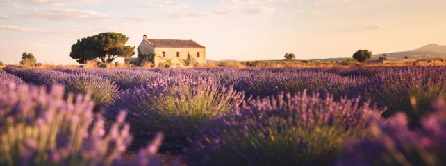 Fotobehang panorama lavender field with a charming house in the background, picturesque, summer sky, countryside, purple, a holiday feel in the south of France, wallpaper, AI © kiddsgn