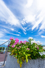 淡路島 東浦周辺の風景