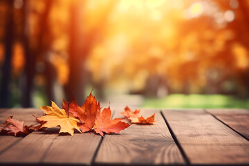 Naklejka na ściany i meble autumn leaves background with copy space
