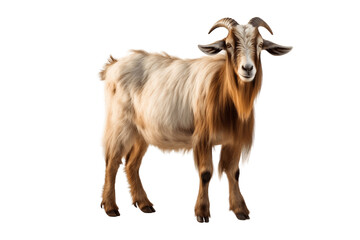 Portrait of a Goat in High-Resolution Isolated on a Transparent PNG Background. Generative Ai
