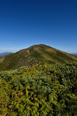Fototapeta na wymiar Mount. Shibutsu, Oze, Gunma, Japan